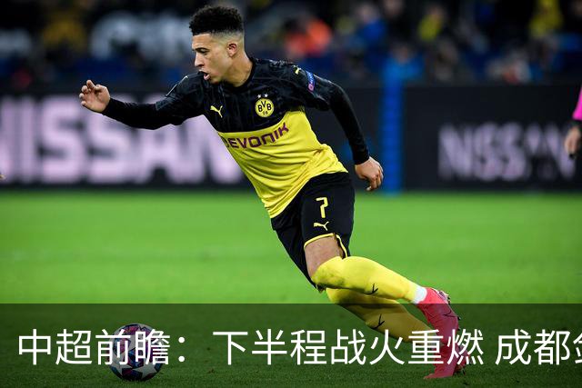 中超前瞻：下半程战火重燃 成都剑指三分申花求反弹