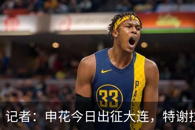 记者：申花今日出征大连，特谢拉、米内罗、李可因伤无法出战
